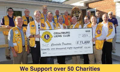 lions charity big check image
